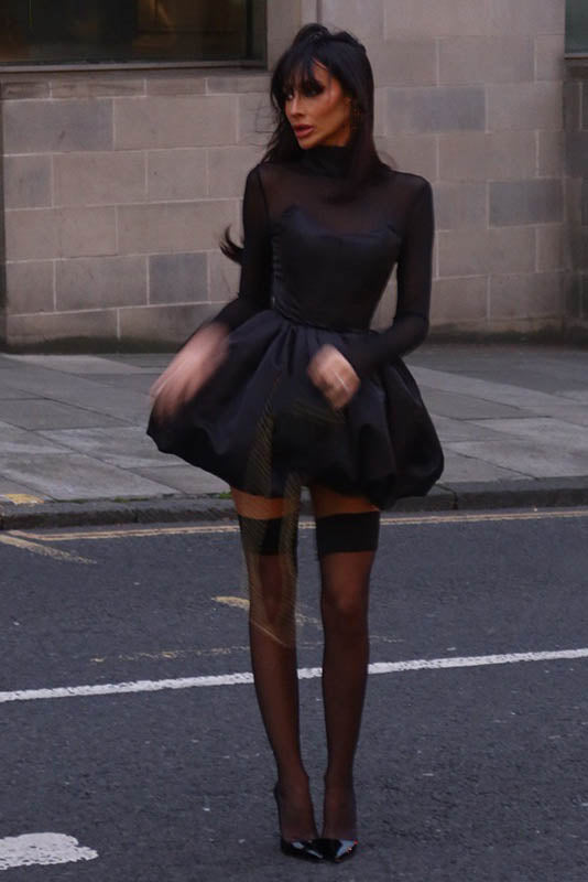Chic Sheer Mesh Puff Mini Dress for Winter Elegance