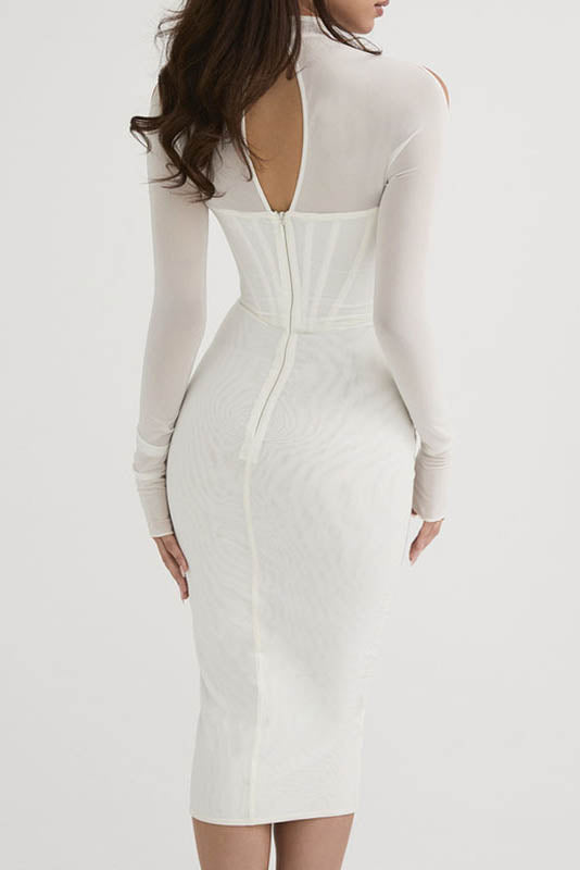 Chic Mesh Long Sleeve Maxi Dress for the Fashionista