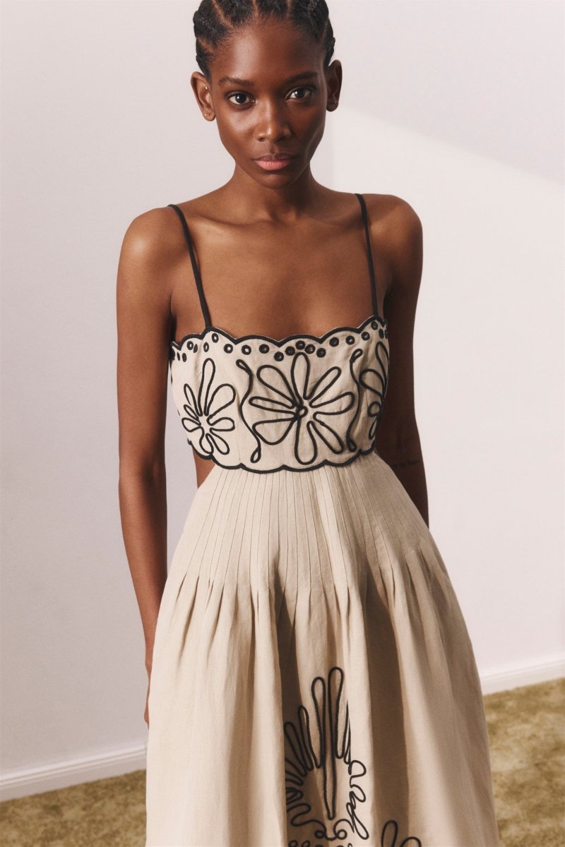 Caroline Abstract Embroidered Cotton Midi Dress